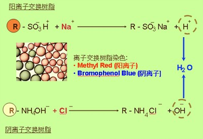 全屏顯示課程 章節